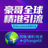 🌐豪哥全球FB谷歌引流🌐