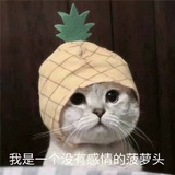 第六感(iOS)交流群