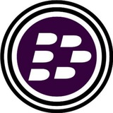 Dexberry官方中文社区🇨🇳