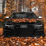 🍋奥迪快递收面“认准群主”