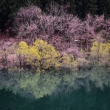 抚州【兼职外围】
