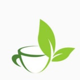 🔥海岸&Shore莞式修车品茶俱乐部