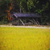 晋中【凤楼】
