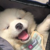 【香港服务器】