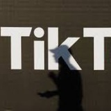 tiktok(协议)