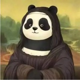 跨境专线网络