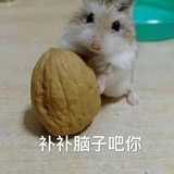 跑分北冥天宝融安 干净网赌分