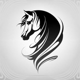 彩票数据 全格式 DPI 体育 全网数据 数据