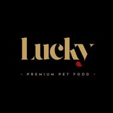 哈希区块链数字货币lucky交流群