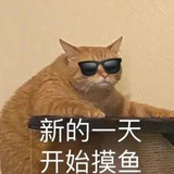 11对接群