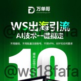 【ws引流】