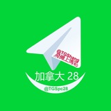 人妻骚货
