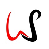 ws协议裙发