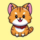 BabyKitty 🐱中文囯际社群🚀🚀