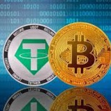 卡接回U,招聘车队,散户,小白可培养