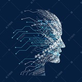 qq达人/纯女/车主/三要素数据/