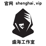 盛海工作室丨飞机群发软件|TG全功能 Chat