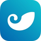 lmToken官方频道