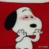 养号专用回国网络