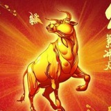 万亿团队🔰赚百万🈯️项目