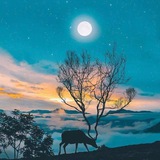 若云企业微信/建群/接粉/炒群独苗企业