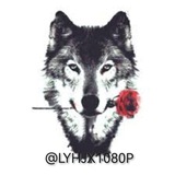 【狼友会】多功能导航