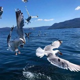 素材馆