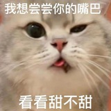 11 账密交流群