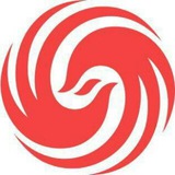 google_谷歌竞价_QP直投引流_海外网赚吸粉