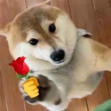 凌云拉手曝光群