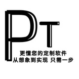 P T 软件⌨️脚本定制