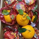 小袋鼠,百果园水果店