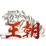王朝-运营商大数据