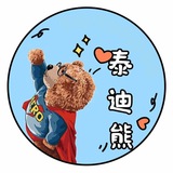 泰迪熊——银图官方频道支持正版