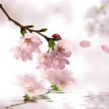 十里春风恰如你💕