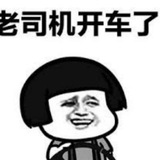 黄视频开车爽歪歪