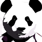 Coinsinic的小店