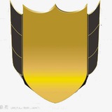 VPS-金桔科技