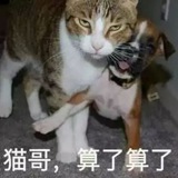 直播平台破解,主播福利盒子