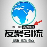 欧洲tiktok项目引流群