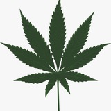 涂涂的种植天堂