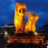 柬埔寨菠菜交流群·闲聊