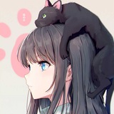 破解分享福利安卓软件交流