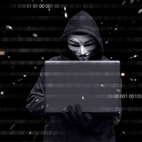 暗网数据专营