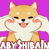 Baby Shiba Inu 柴宝官方中文社区 🇨🇳