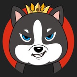 大狗数据精准一手📞全行业📞信誉权威