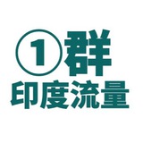 印度流量海外WA/FB/谷歌精准引流-推广-支付