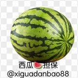 西瓜🍉担保交流群 @xiguadanbao88