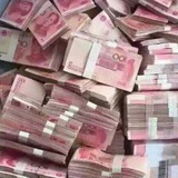 福建💰浙江💰海南💋专收政府文件材料