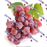 [官方认证]信息查询/人肉定位/婚姻记录/开房纪录/线下跟踪